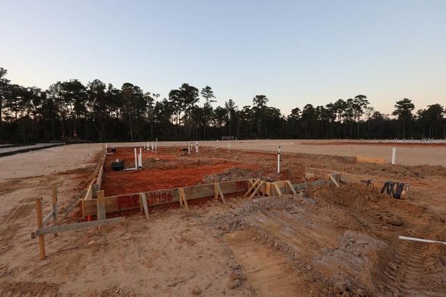 11436 Billy Bob Street, Montgomery, TX 77354