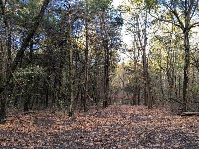 Pine Tree, Prairie Grove, AR 72758