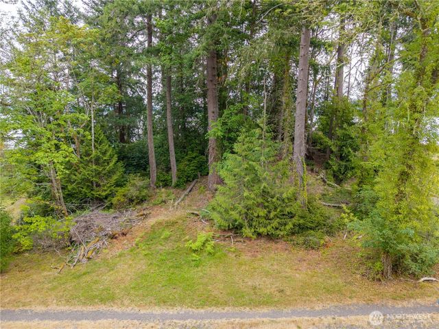 411 151st Avenue Ct SW, Lakebay, WA 98349