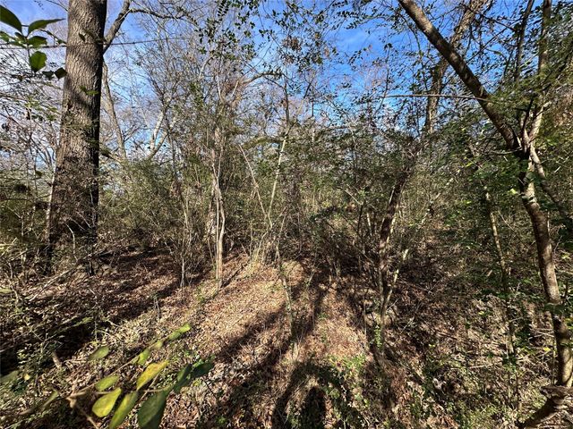 0000 County Road 2324, Como, TX 75431