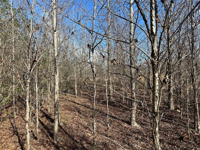 0000 County Road 2324, Como, TX 75431