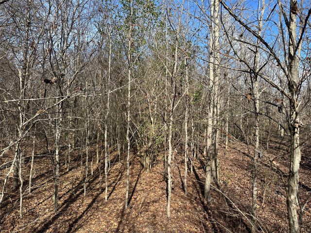 0000 County Road 2324, Como, TX 75431