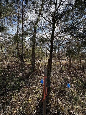 0000 County Road 2324, Como, TX 75431