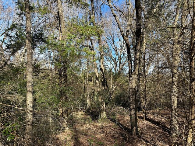 0000 County Road 2324, Como, TX 75431