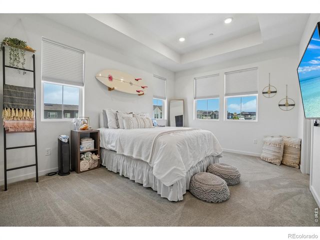 5444 Euclid Drive, Timnath, CO 80547