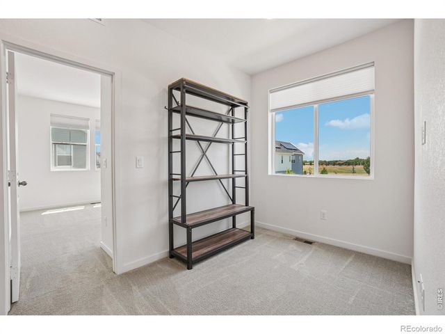 5444 Euclid Drive, Timnath, CO 80547