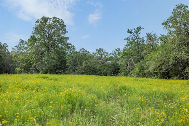 TBD County Road 459 RD, Thorndale, TX 76577