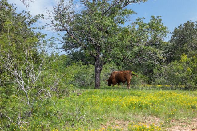 TBD County Road 459 RD, Thorndale, TX 76577