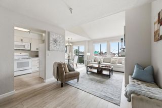 711 S Bayshore Boulevard 29, San Mateo, CA 94402