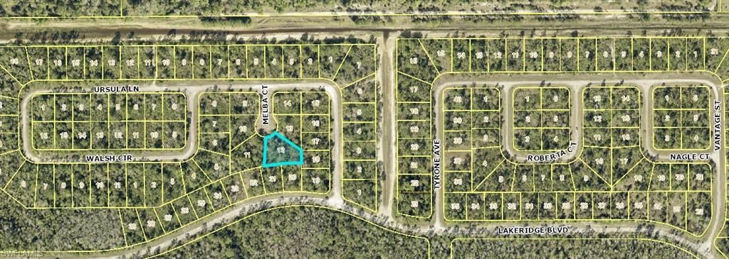 2154 Melba CT, LEHIGH ACRES, FL 33972 — exterior