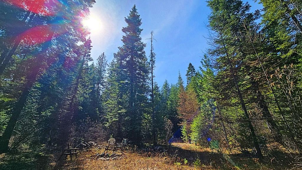 4XXX Nellie Smith Way, Valley, WA 99181 photo 2