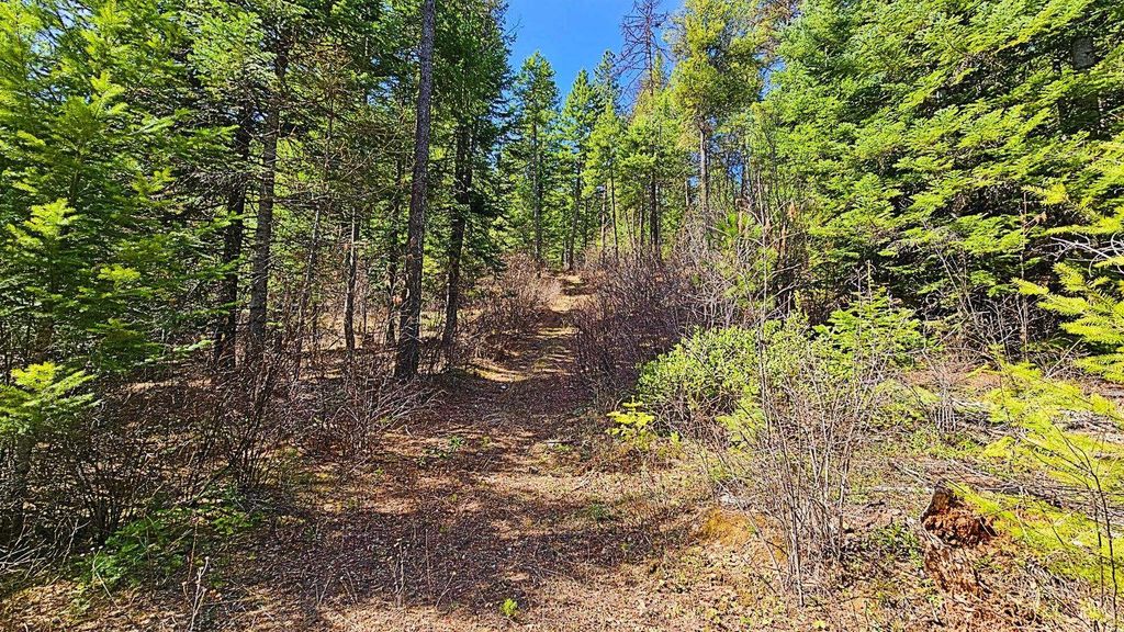 4XXX Nellie Smith Way, Valley, WA 99181 photo 12