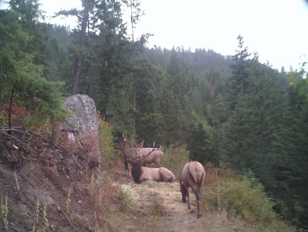 4XXX Nellie Smith Way, Valley, WA 99181 photo 14