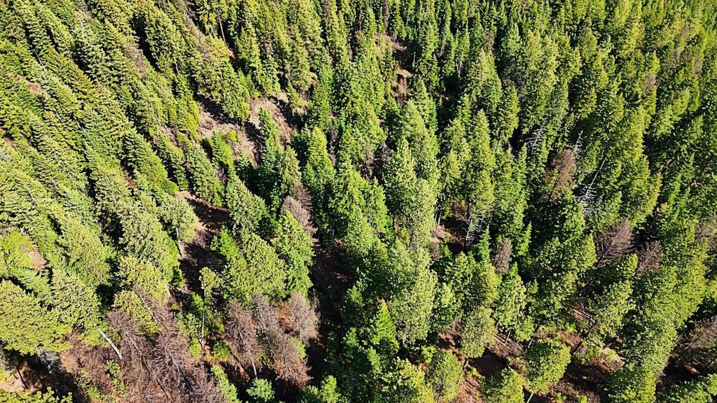 4XXX Nellie Smith Way, Valley, WA 99181 photo 15