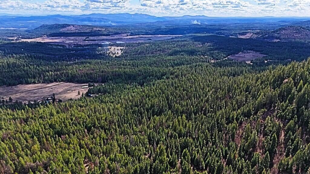 4XXX Nellie Smith Way, Valley, WA 99181 photo 16