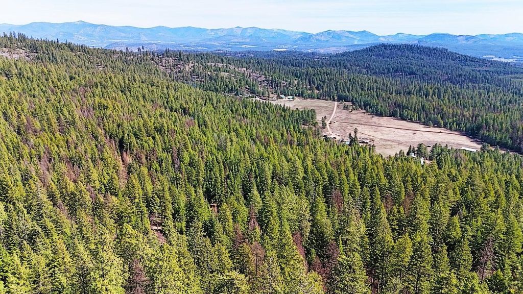 4XXX Nellie Smith Way, Valley, WA 99181 photo 18