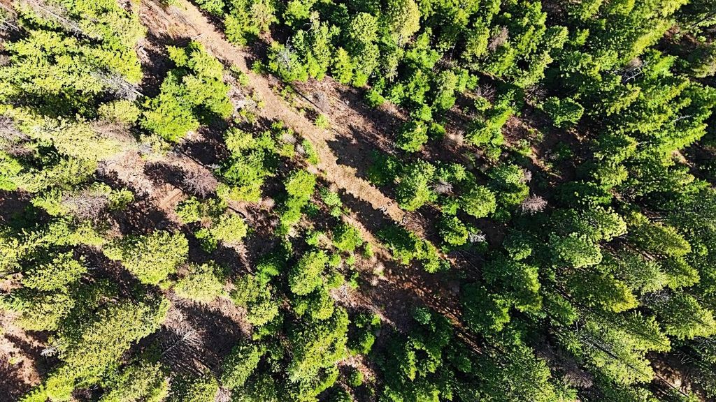 4XXX Nellie Smith Way, Valley, WA 99181 photo 19