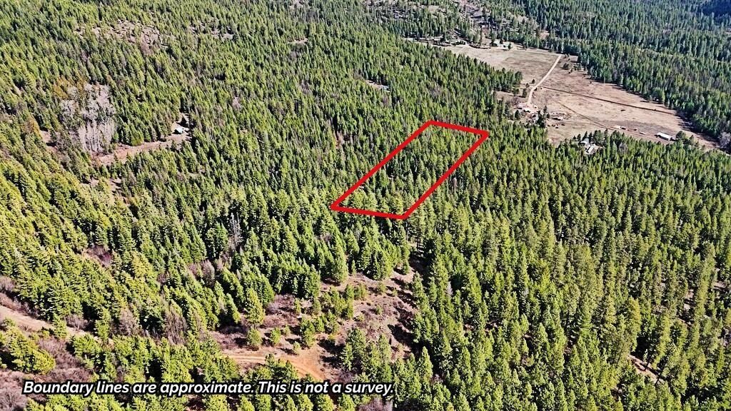 4XXX Nellie Smith Way, Valley, WA 99181 photo 3