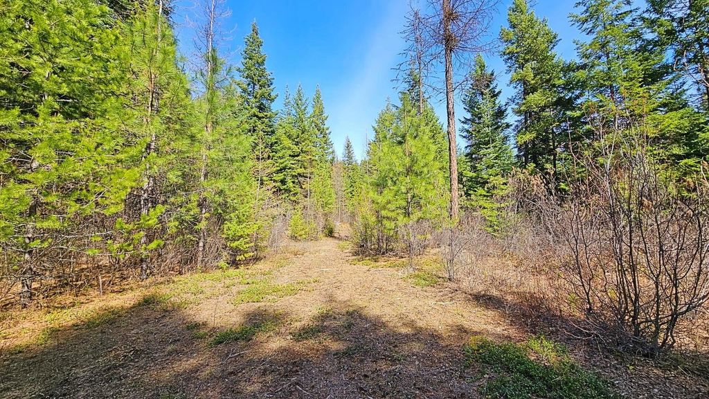 4XXX Nellie Smith Way, Valley, WA 99181 photo 4