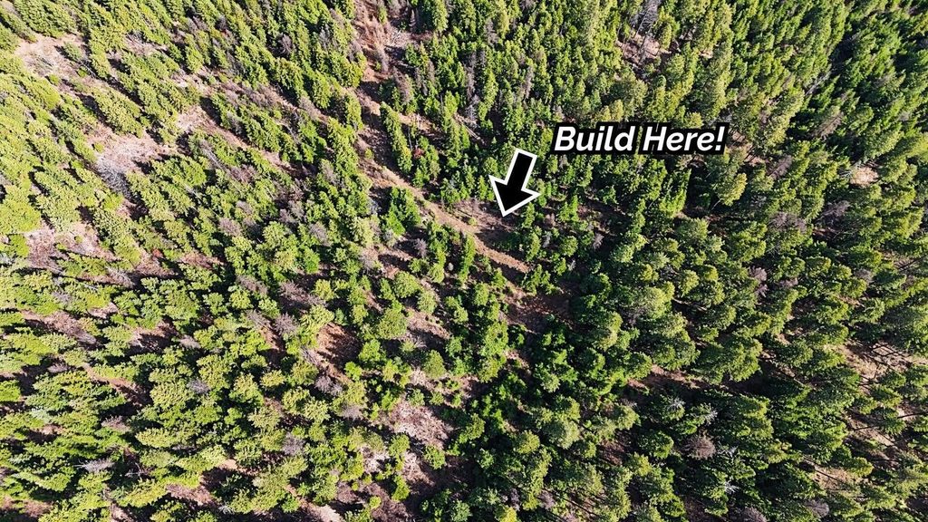 4XXX Nellie Smith Way, Valley, WA 99181 photo 6