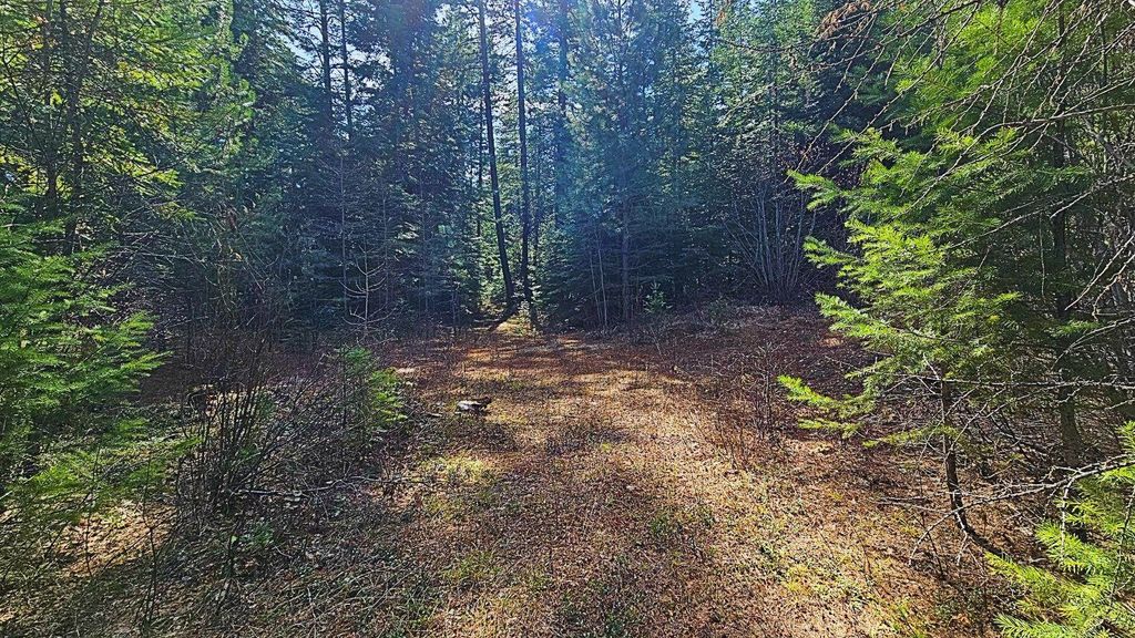 4XXX Nellie Smith Way, Valley, WA 99181 photo 7