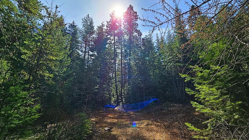 4XXX Nellie Smith Way, Valley, WA 99181 photo 8