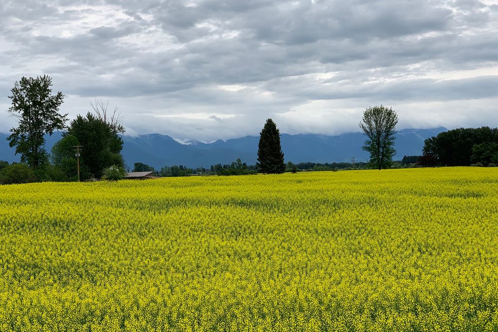 1275 Lower Valley Road, Kalispell, MT 59901 photo 103