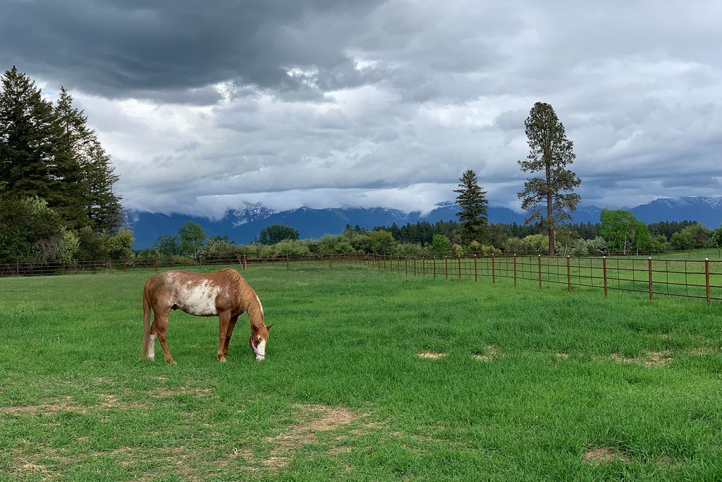 1275 Lower Valley Road, Kalispell, MT 59901 photo 7