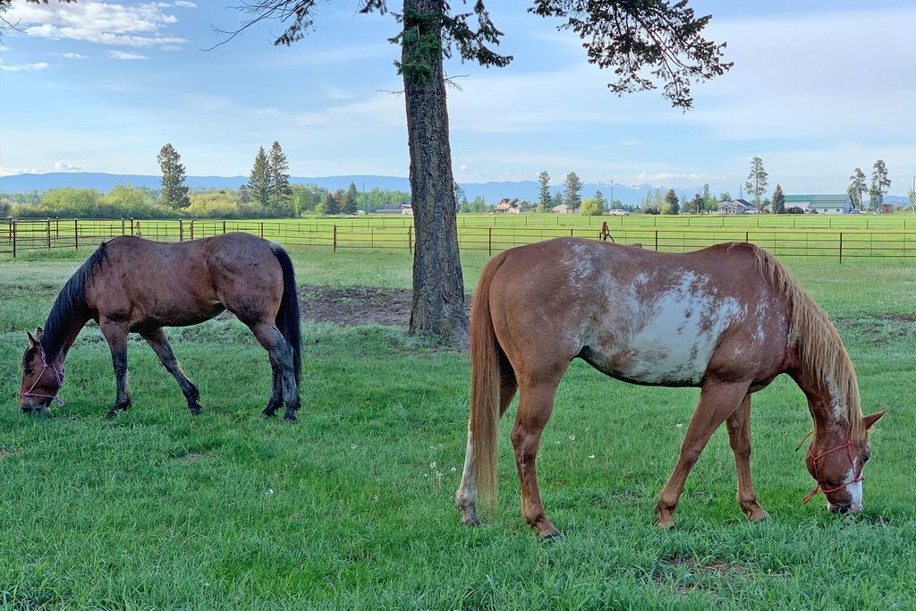1275 Lower Valley Road, Kalispell, MT 59901 photo 96