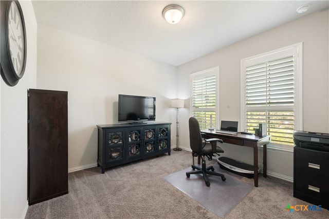 4221 Mercer Road, Georgetown, TX 78628