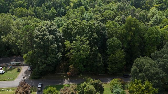 Tr 15 Pine Forest Lane, Unicoi, TN 37601