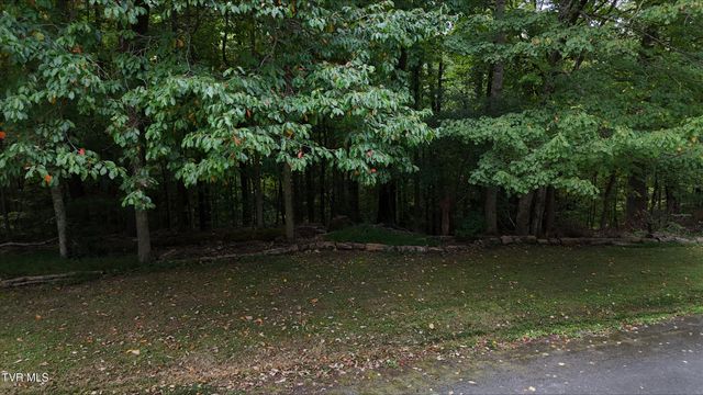 Tr 15 Pine Forest Lane, Unicoi, TN 37601