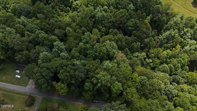 Tr 15 Pine Forest Lane, Unicoi, TN 37601