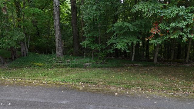 Tr 15 Pine Forest Lane, Unicoi, TN 37601