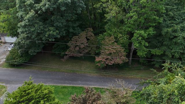 Tr 15 Pine Forest Lane, Unicoi, TN 37601