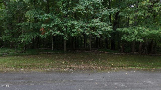 Tr 15 Pine Forest Lane, Unicoi, TN 37601