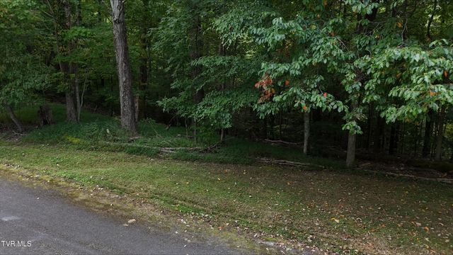Tr 15 Pine Forest Lane, Unicoi, TN 37601