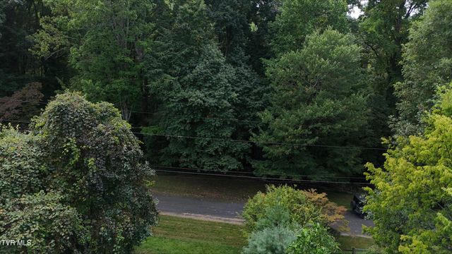 Tr 15 Pine Forest Lane, Unicoi, TN 37601