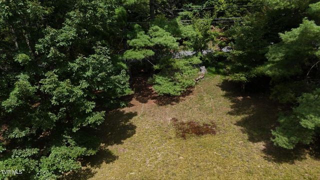 Tr 15 Pine Forest Lane, Unicoi, TN 37601