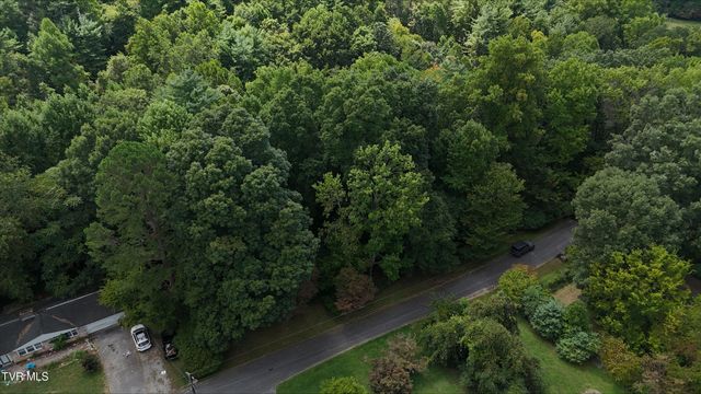 Tr 15 Pine Forest Lane, Unicoi, TN 37601