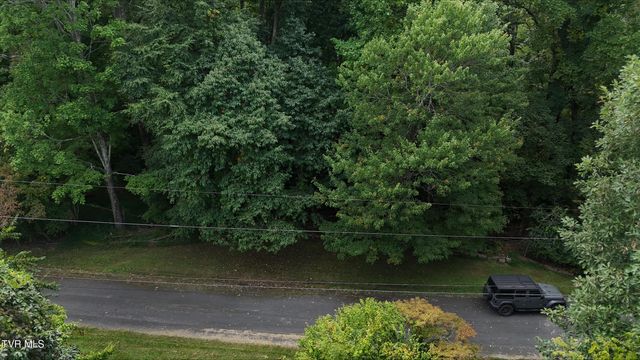Tr 15 Pine Forest Lane, Unicoi, TN 37601