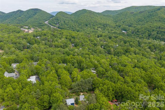 14 Locust Street, Black Mountain, NC 28711