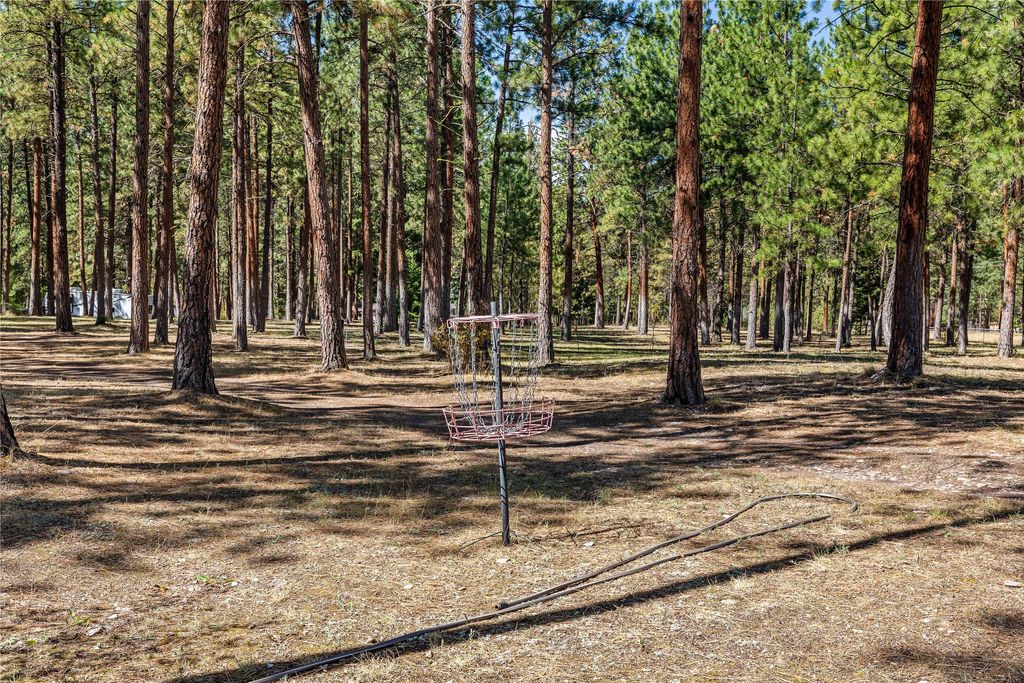 9955 Highway 12 W, Lolo, MT 59847 photo 34