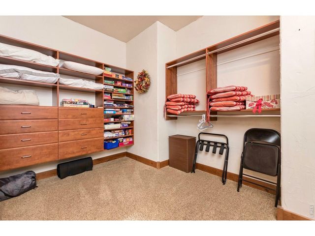 1471 Jungfrau Trl, Estes Park, CO 80517