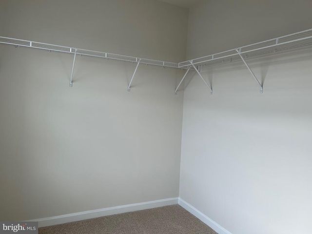 167 RAE CT, Luray, VA 22835