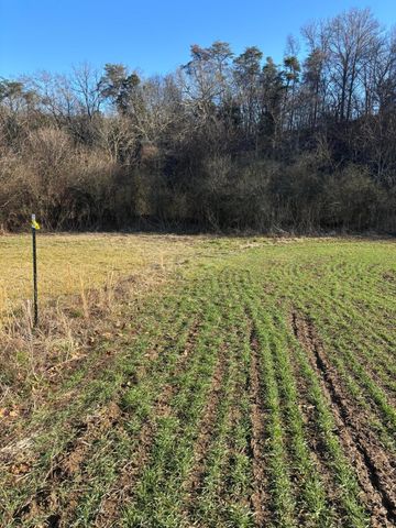 168 Moby Road Road, Delano, TN 37325