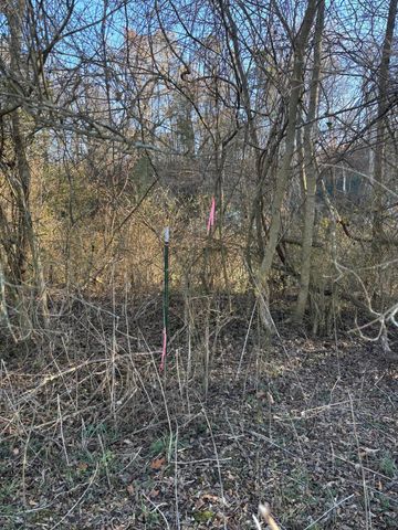 168 Moby Road Road, Delano, TN 37325