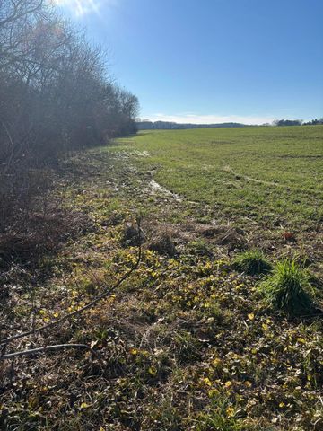 168 Moby Road Road, Delano, TN 37325