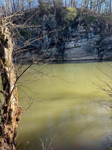 168 Moby Road Road, Delano, TN 37325
