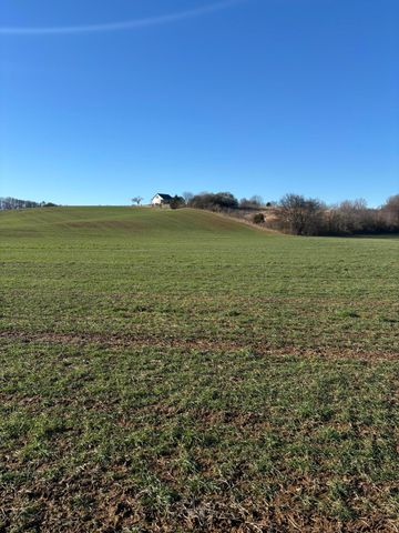 168 Moby Road Road, Delano, TN 37325